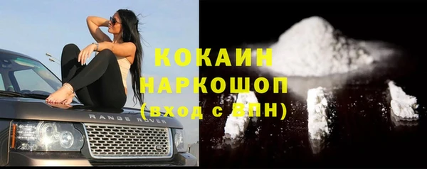 ешки Алзамай