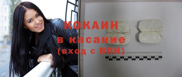шишки Абаза