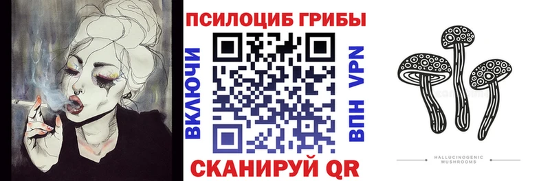 Псилоцибиновые грибы Psilocybe  Нижний Новгород 